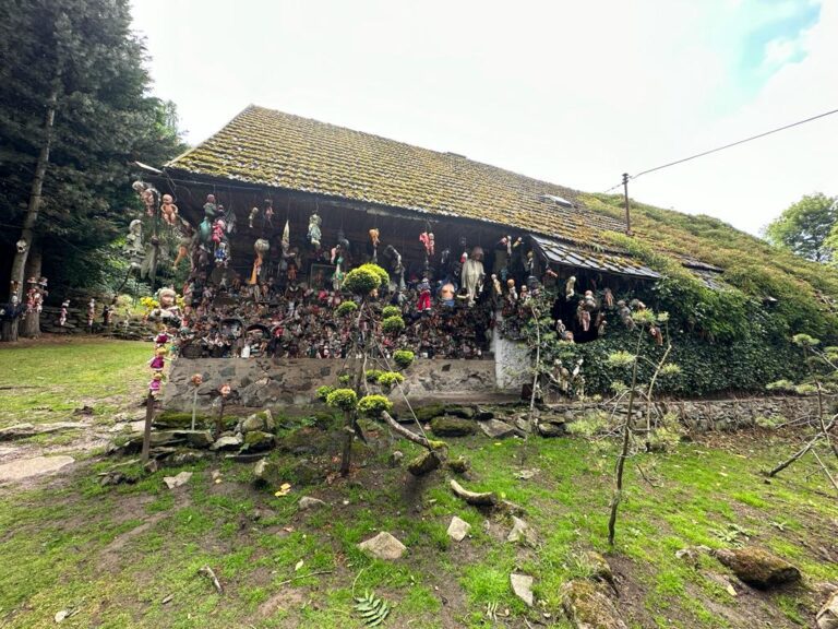 Obrázek WhatsApp, 2023-10-12 v 11.32.43_4eefbc67